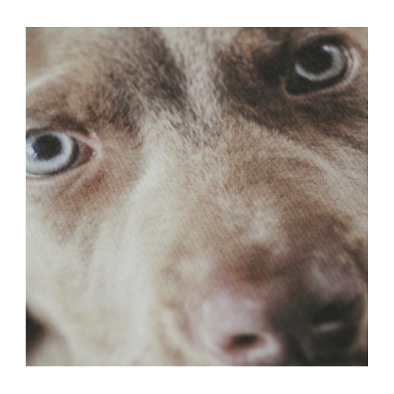 100 feuilles Forever Ink-jet Basic WT A4